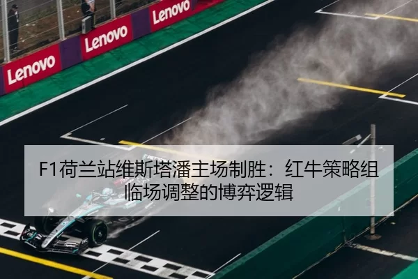 he-lan-zhan-wei-si-ta-pan-zhu-chang-zhi-sheng-hong-niu-ce-lve-zu-lin-chang-tiao-zheng-de-bo-yi-luo-ji-2-944.jpg