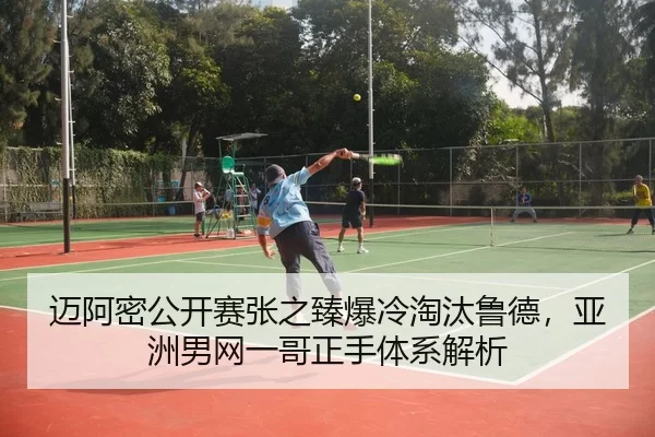 mai-a-mi-gong-kai-sai-zhang-zhi-zhen-bao-leng-tao-tai-lu-de-ya-zhou-nan-wang-yi-ge-zheng-shou-ti-xi-jie-xi-3-216.jpg