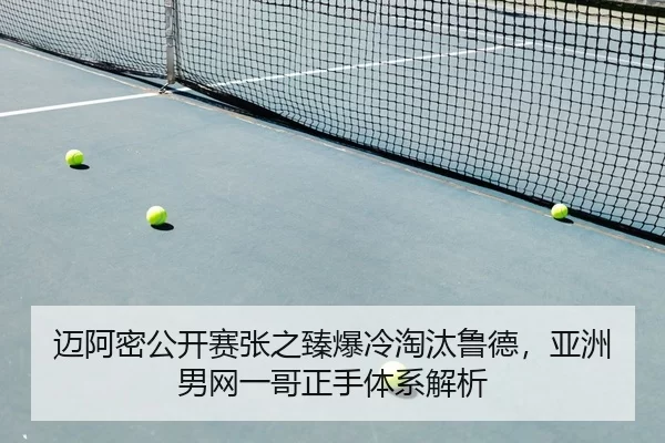 mai-a-mi-gong-kai-sai-zhang-zhi-zhen-bao-leng-tao-tai-lu-de-ya-zhou-nan-wang-yi-ge-zheng-shou-ti-xi-jie-xi-1-370.jpg